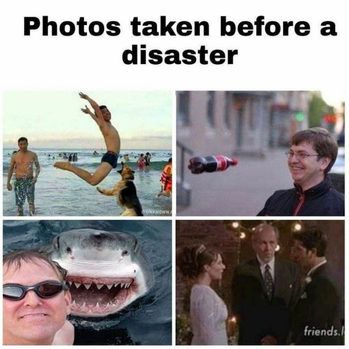 [프렌즈] 미드의 전설 F•R•I•E•N•D•S 짤&밈 털이 | 인스티즈