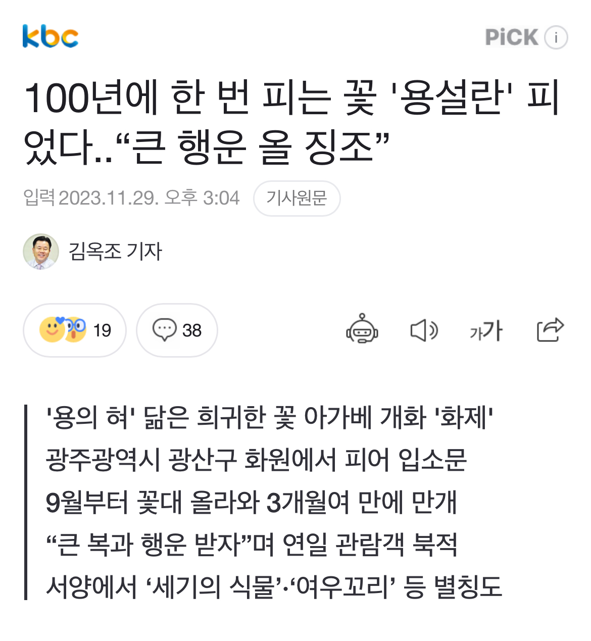 100년에 한 번 피는 꽃 '용설란' 피었다.."큰 행운 올 징조” | 인스티즈