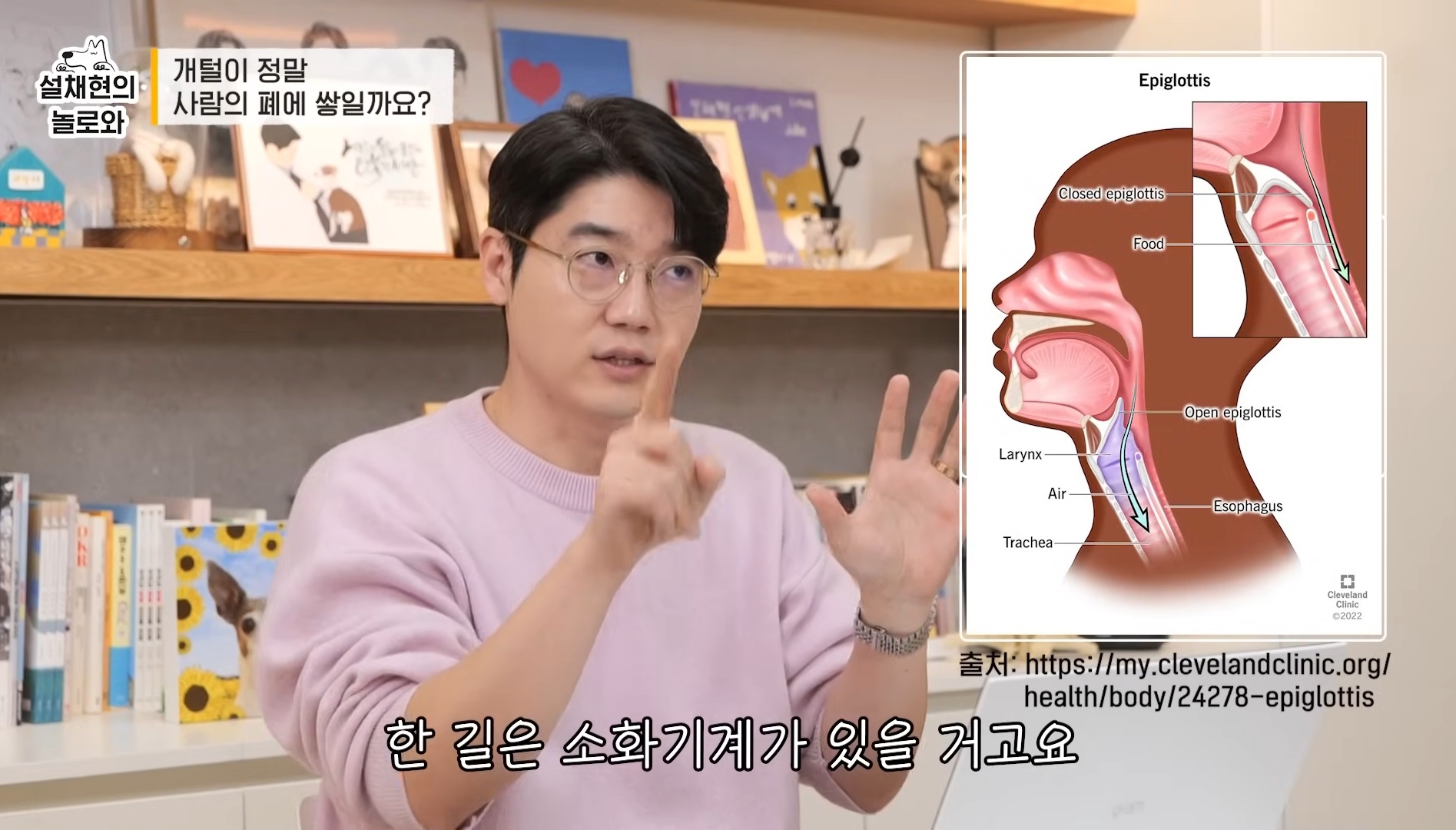 개털이 정말 사람 폐에 쌓일까요? 논란에 대해 말하는 설채현 | 인스티즈