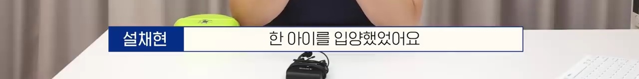 교통사고난 유기견 입양한 설채현 수의사 그리고 윙크 근황😉 | 인스티즈