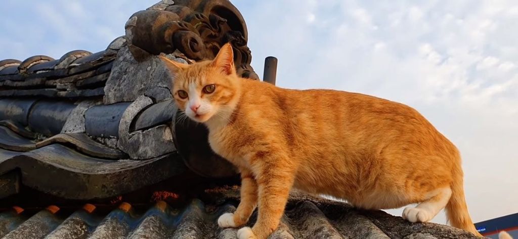 c8715659d4eb168d82bc89ac3eb4229dfa1d6b6a