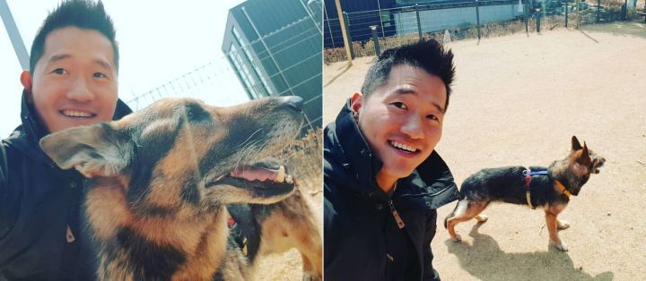 개 전문가와 고양이 전문가 인상 차이 | 인스티즈