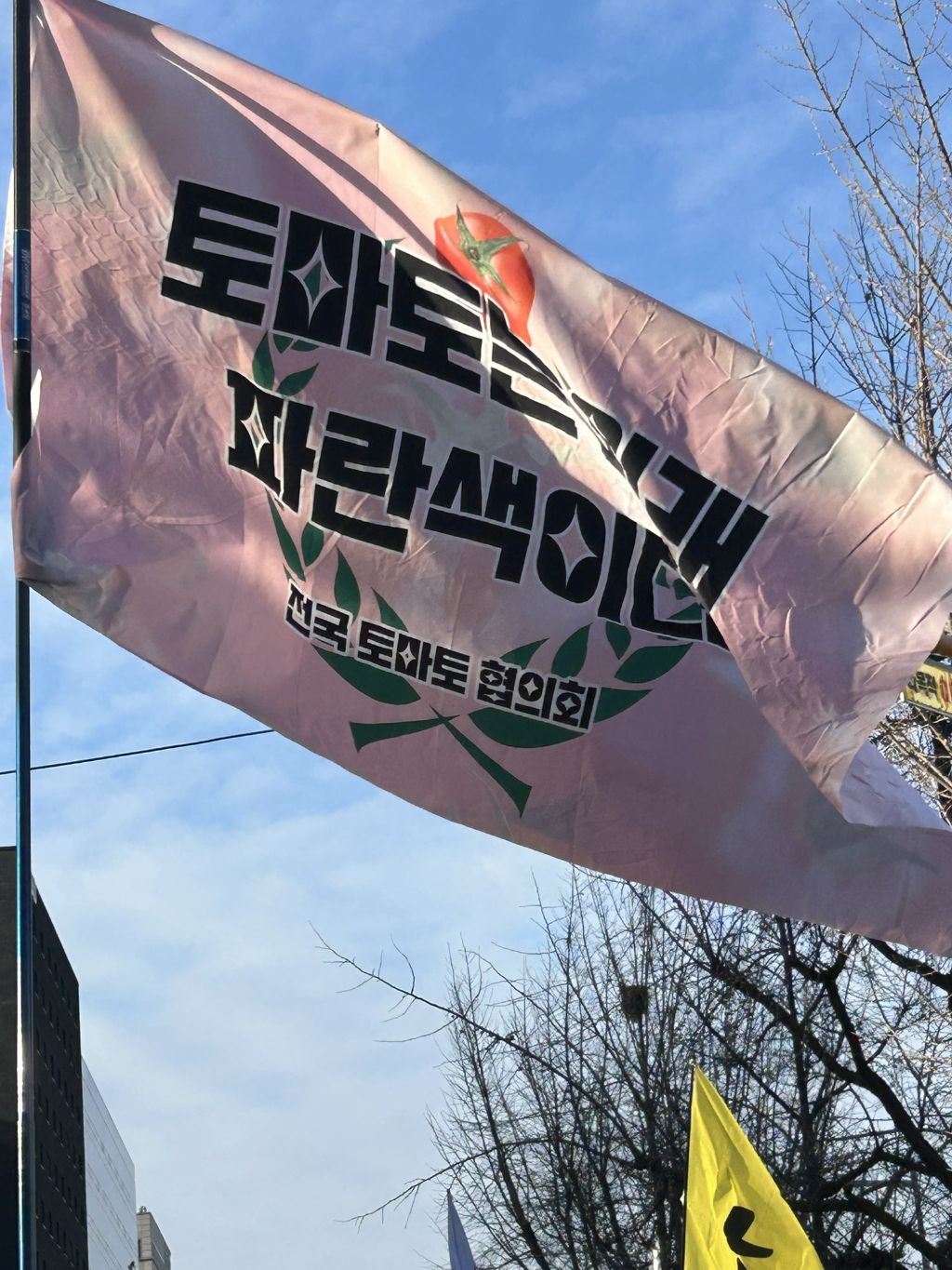 탄핵 시위= 대짱잼 깃발 대회 | 인스티즈