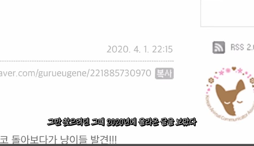 꽁꽁얼어붙은 한강위를 걷는 고양이는 몇살일까? | 인스티즈
