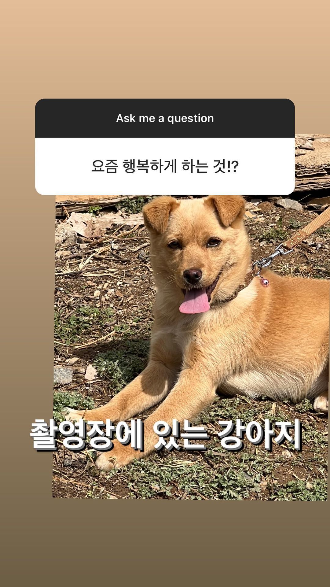 배우 정유미 취향과 tmi 가득한 인스타 무물보 답변 (스압) | 인스티즈