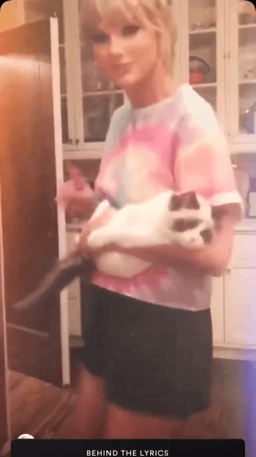 테일러 스위프트가 첫눈에 반해 입양한 고양이 | 인스티즈