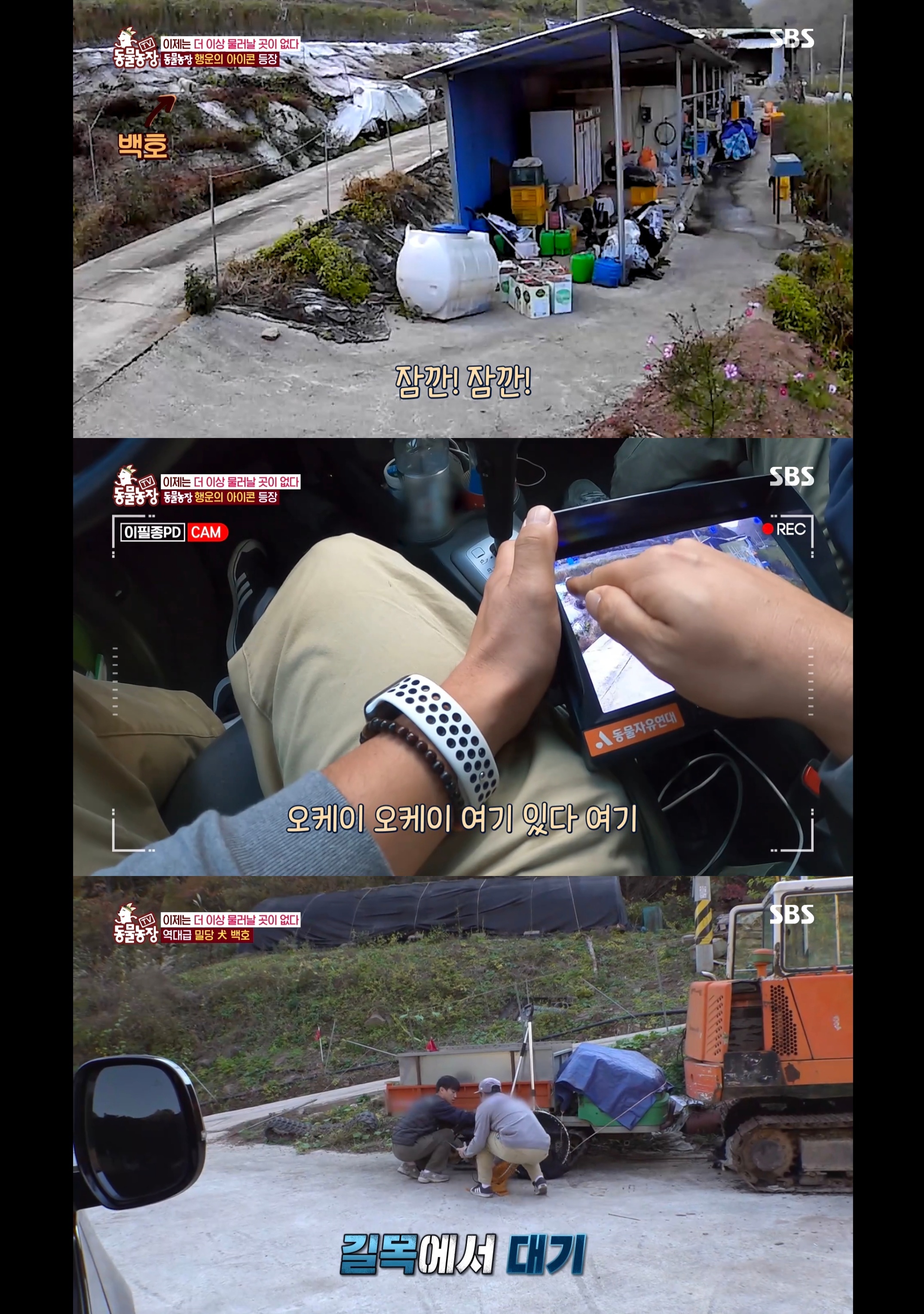 개가 너무 똑똑해서 역대급으로 구조 힘들었던 이번주 동물농장 방송.jpg | 인스티즈