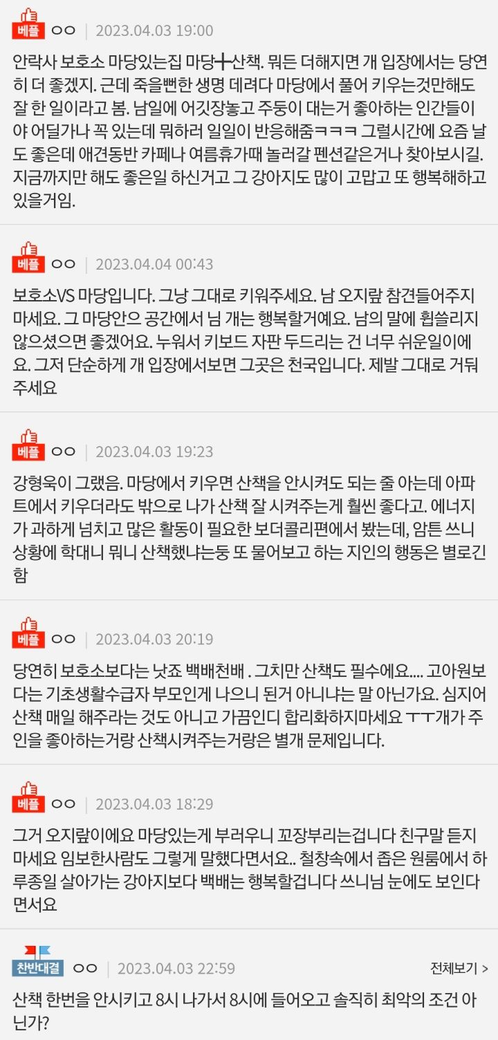 [네이트판] 마당이 있는데 개 산책을 시켜줘야하나요? | 인스티즈