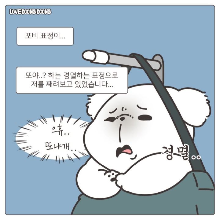 산책 중 사람이 실내배변을 할때 강아지 반응 | 인스티즈