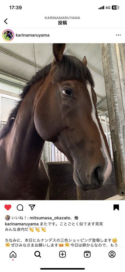 앞머리가 잘 다듬어져서 만족(경주마) | 인스티즈