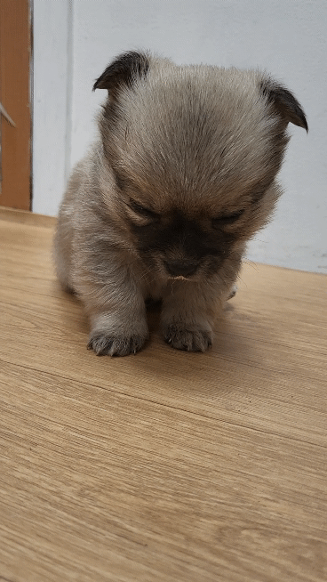 (공지라니... ++추가)새로생긴 회사 복지.. 미쳐서 도저히 일을 못하겠네.. (추가....)++추가 | 인스티즈