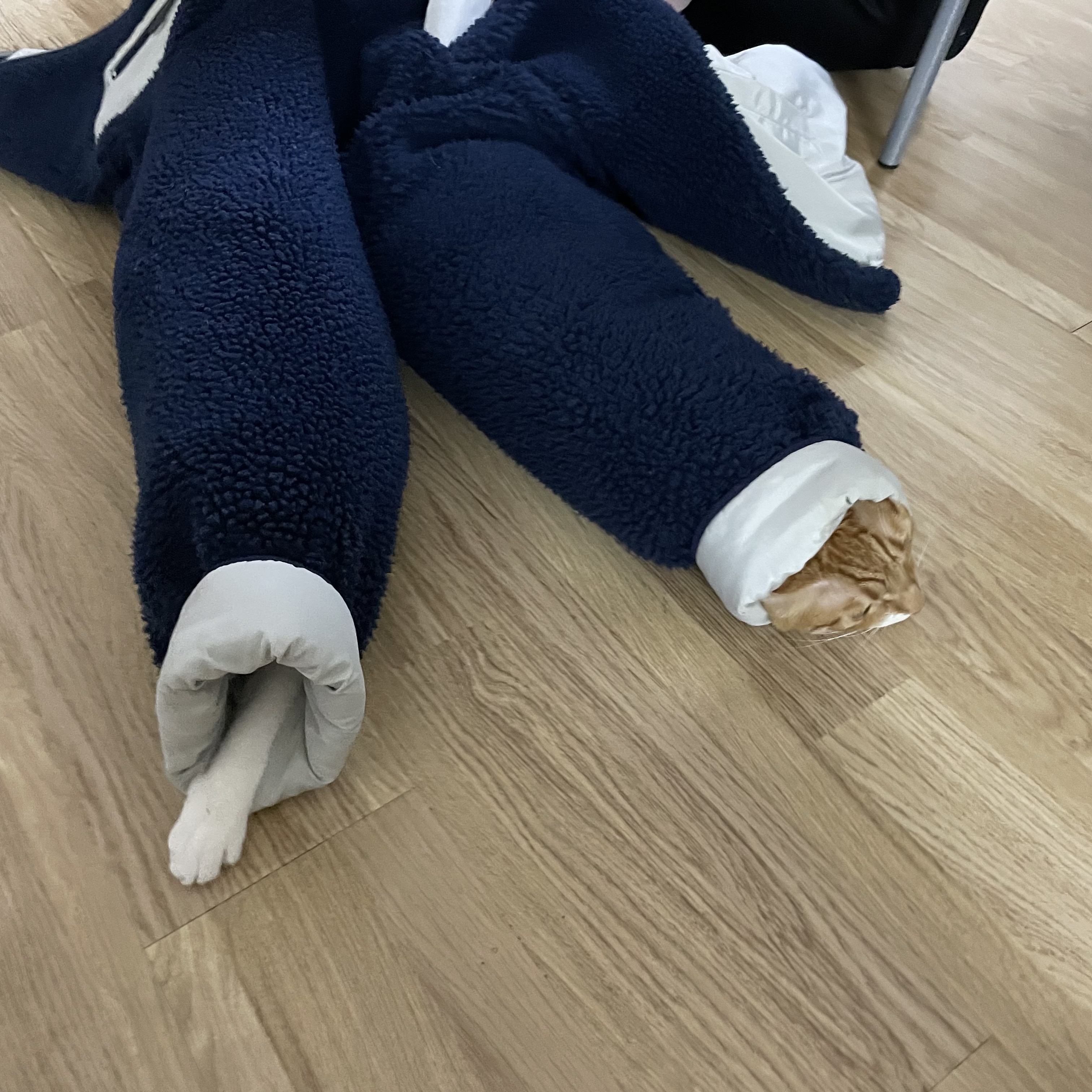 가... | 인스티즈