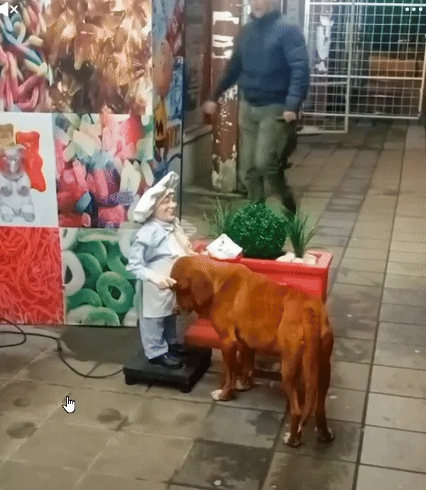 "사람 손길 그리워"…사람 조각상 손에 머리 들이민 유기견(영상) | 인스티즈