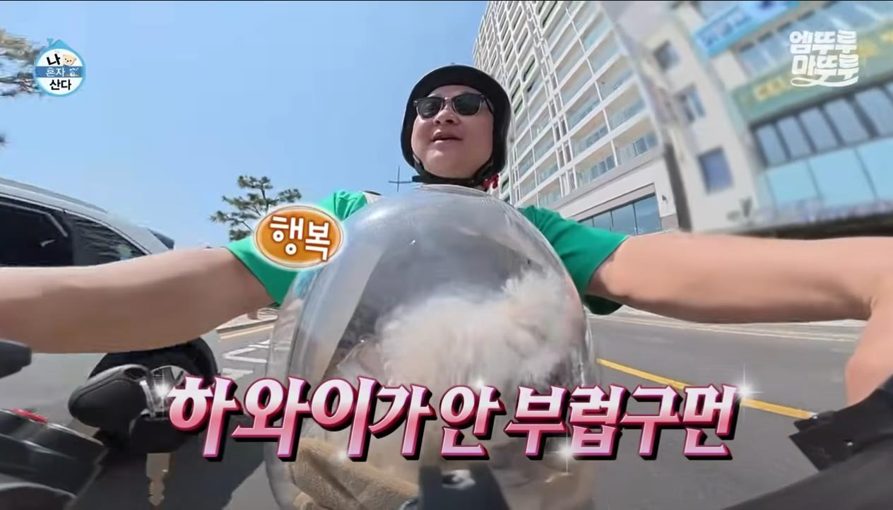 [나혼자산다] 정말 행복해 보이고, 낭만 미친 거 같은 구성환의 부산 한 달 살기 | 인스티즈