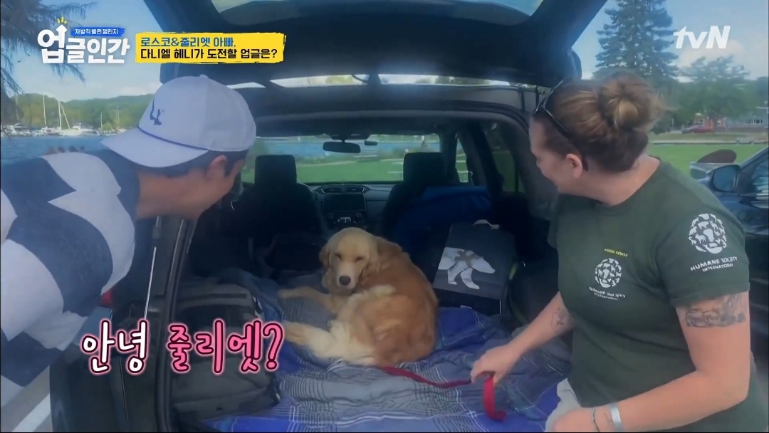 식용견 농장에서 구출된 다니엘 헤니의 강아지 로스코, 줄리엣 | 인스티즈