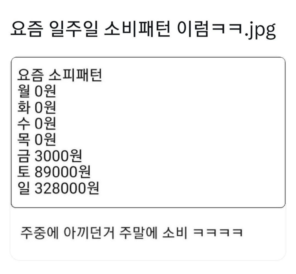 뭔가 이상한것 같은 소비패턴 | 인스티즈