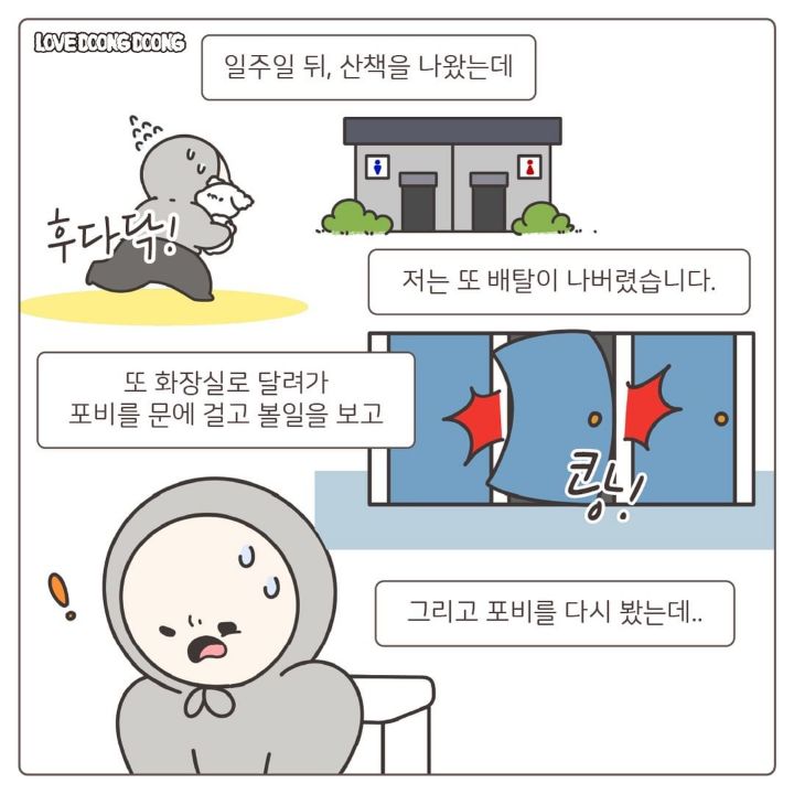 산책 중 사람이 실내배변을 할때 강아지 반응 | 인스티즈