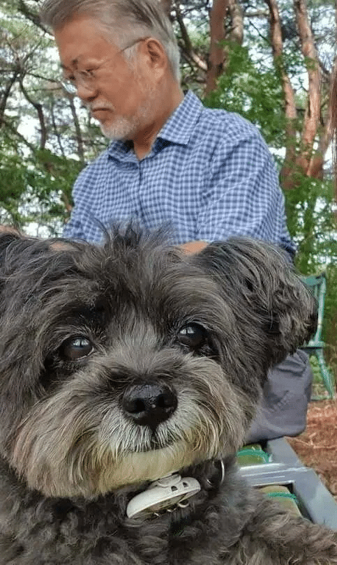 문토리 셀카 한 장.jpg | 인스티즈