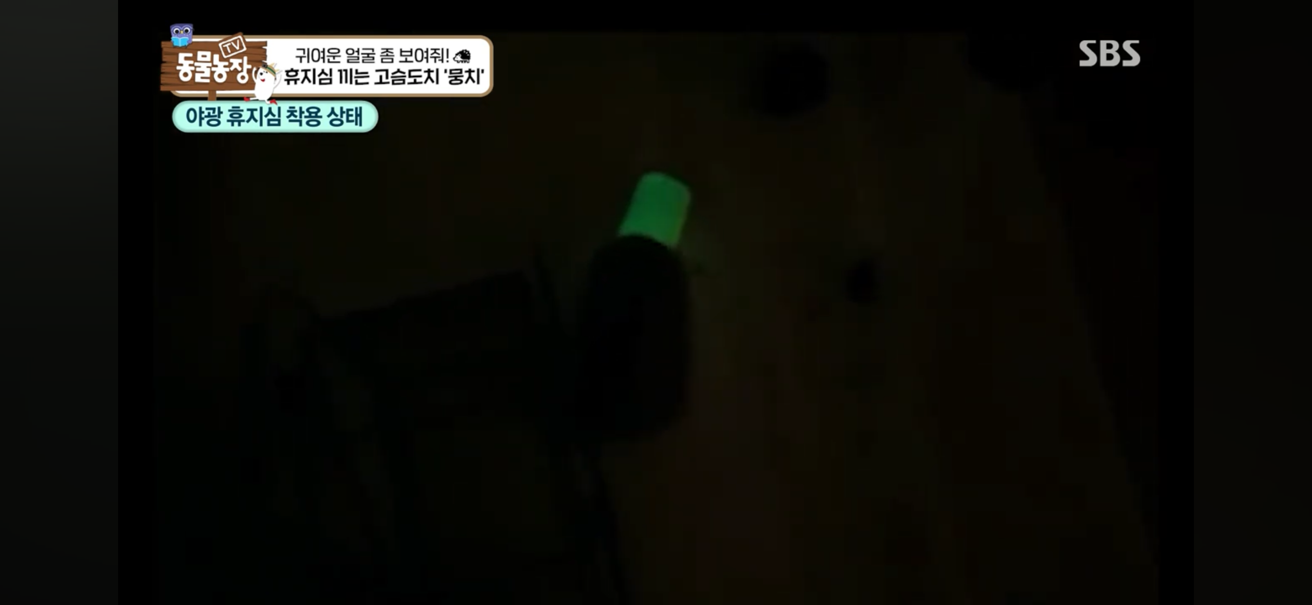 따봉고슴도치 휴지심 좋아도치 | 인스티즈