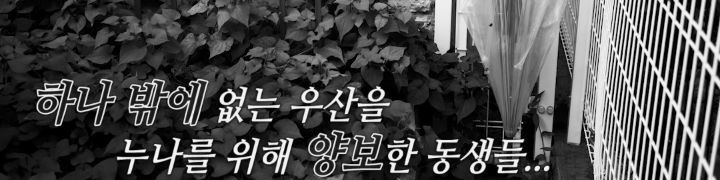 한 작가가 백마탄 왕자님 스토리를 쓰는 이유 | 인스티즈