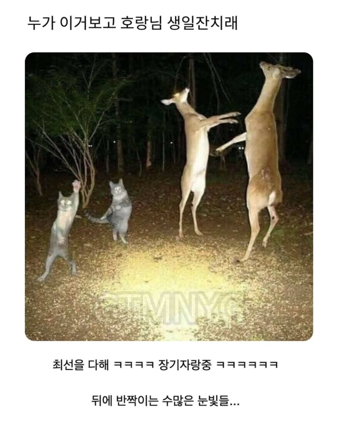 이거 누가 이렇게 말한 뒤로 안 잊혀져 | 인스티즈