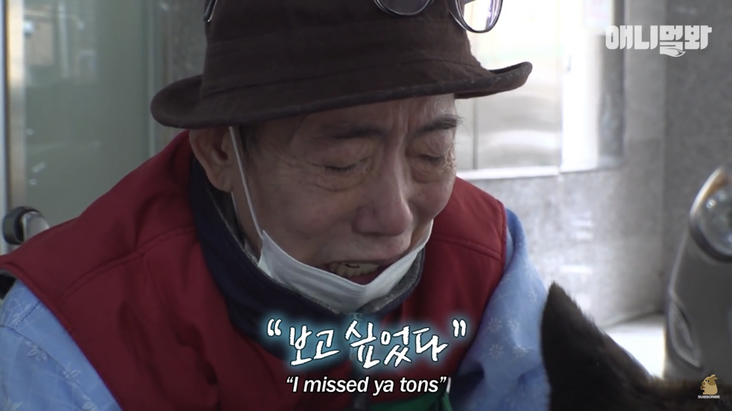 1년만에 자신을 두고 간 주인을 만난 강아지 반응 | 인스티즈