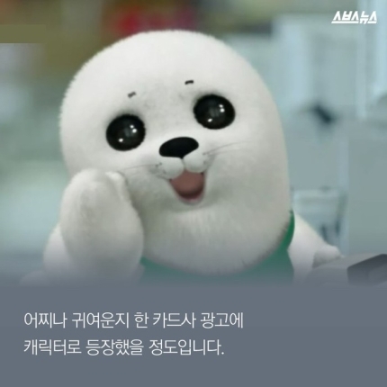 하프물범이 한국을 싫어하는 이유 | 인스티즈