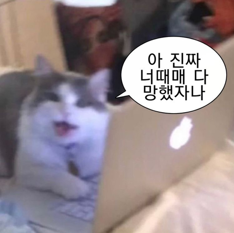 인스타 부계에 힘들때마다 올린짤 모음Zip | 인스티즈