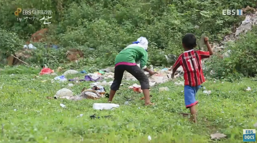 자극적 영상이 많아진 요즘, 안보면 후회하는 글 | 인스티즈