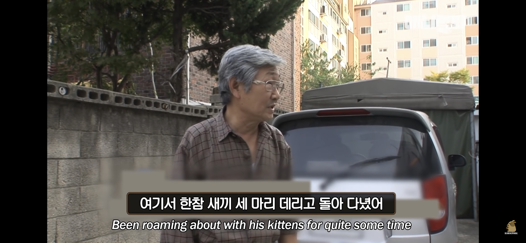 길고양이 목에 쪽지를 달자 생긴 영화같은 일 | 인스티즈