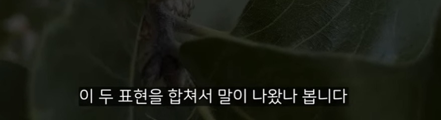 이중언어 (🇰🇷🇺🇸)로 키우면 겪는 현실적인 문제점 | 인스티즈