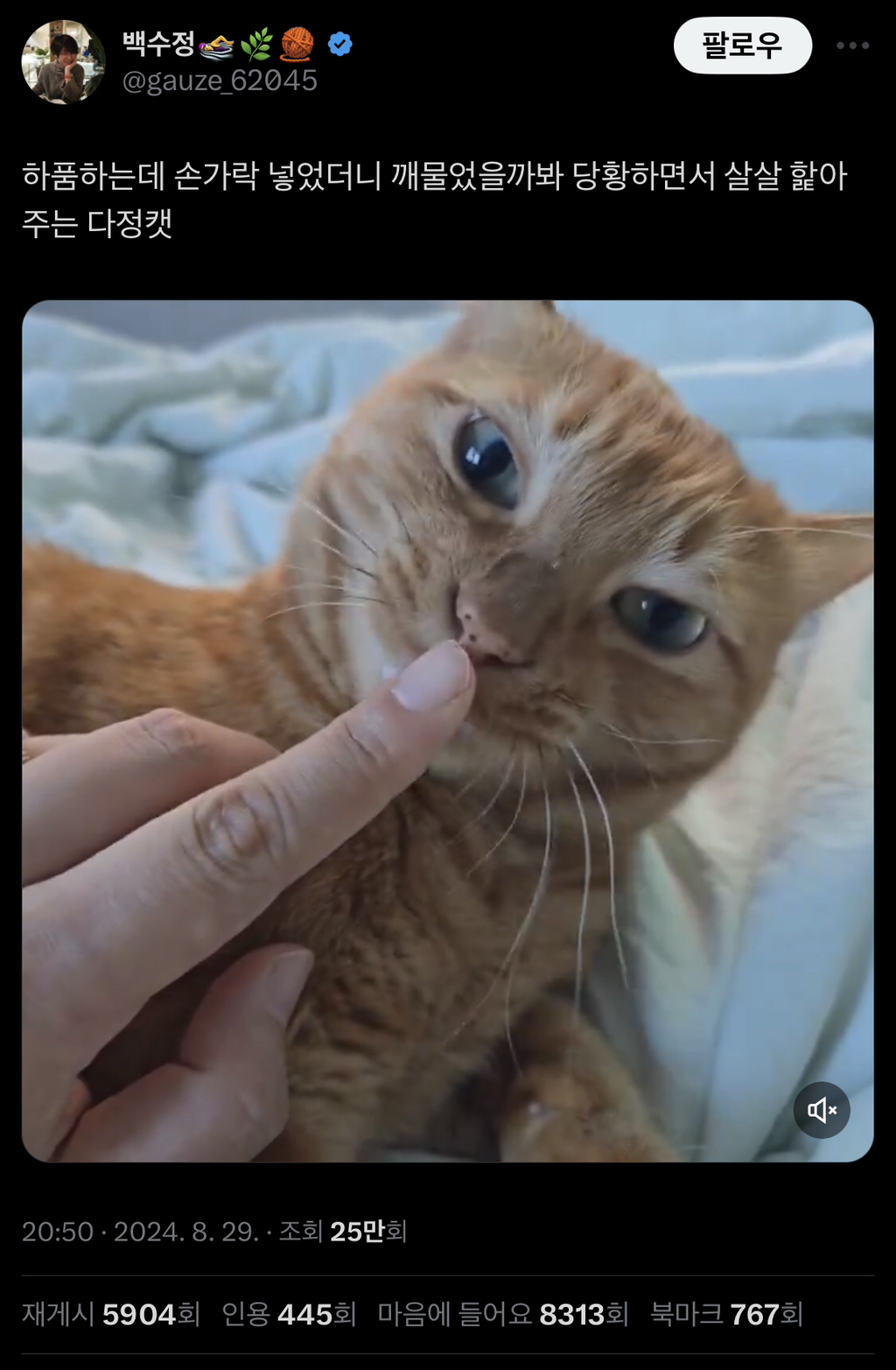 다정함이 눈에 보인다 | 인스티즈