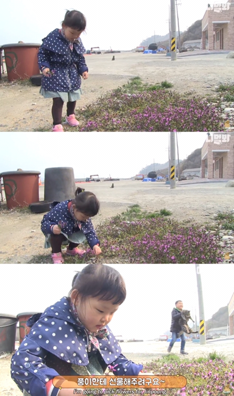섬마을 남매가 강아지를 환영하는 완벽한 방법 | 인스티즈