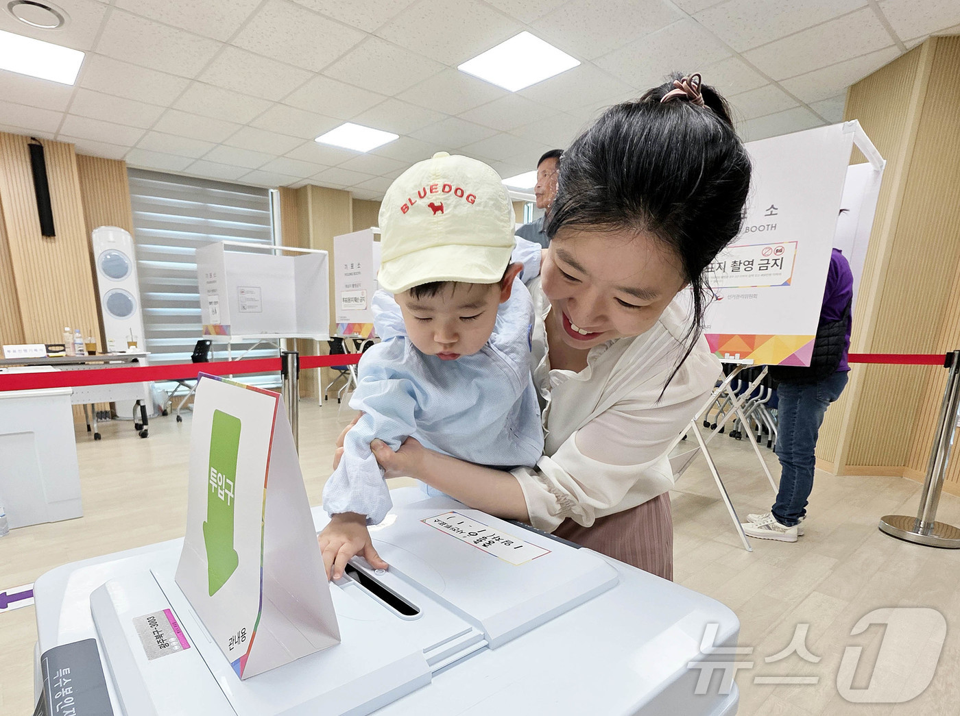 사전투표소 반려견, 아기 사진 모음 | 인스티즈