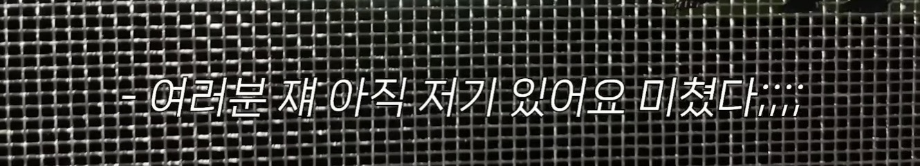 미국 이민갔는데 집에서 곰 나옴… | 인스티즈