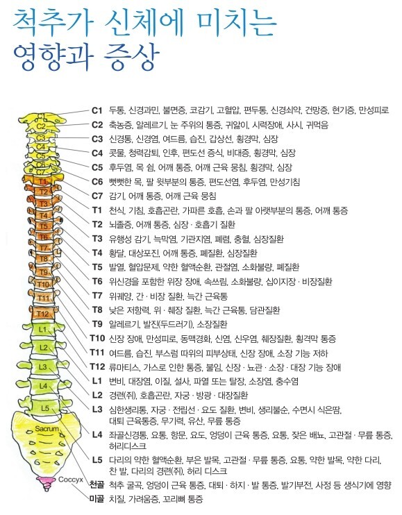 바른 자세로 살아야 하는 이유 | 인스티즈