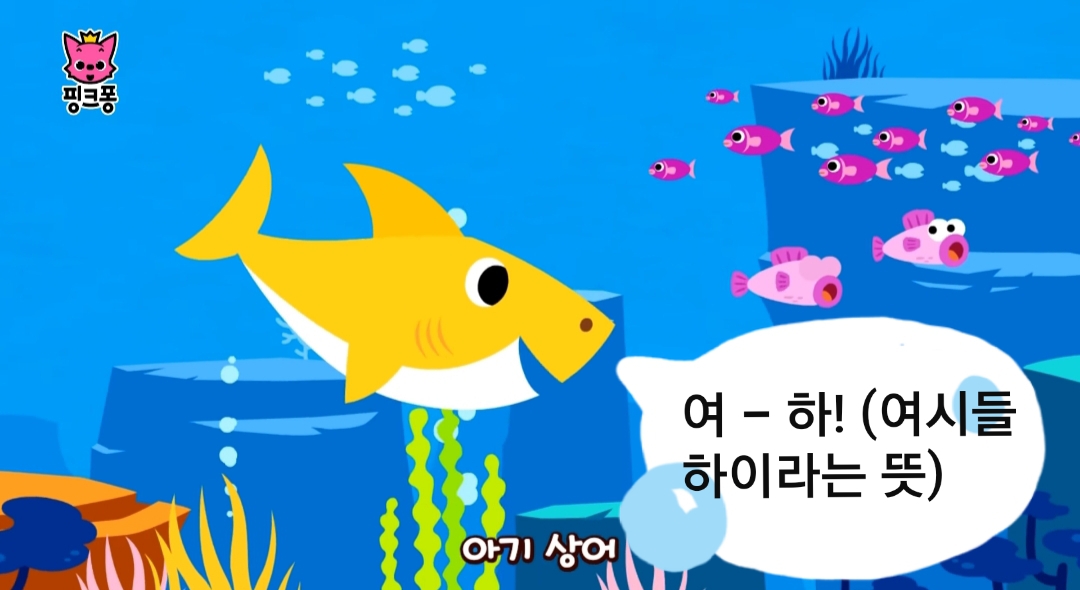 🦈 태어나고 무려 150년 지나서야 첫 짝짓기 하는 동물 | 인스티즈