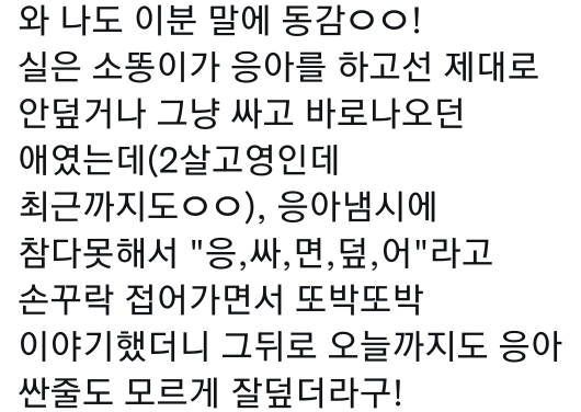 고양이는 사람 말을 알아듣는 거 같아 | 인스티즈