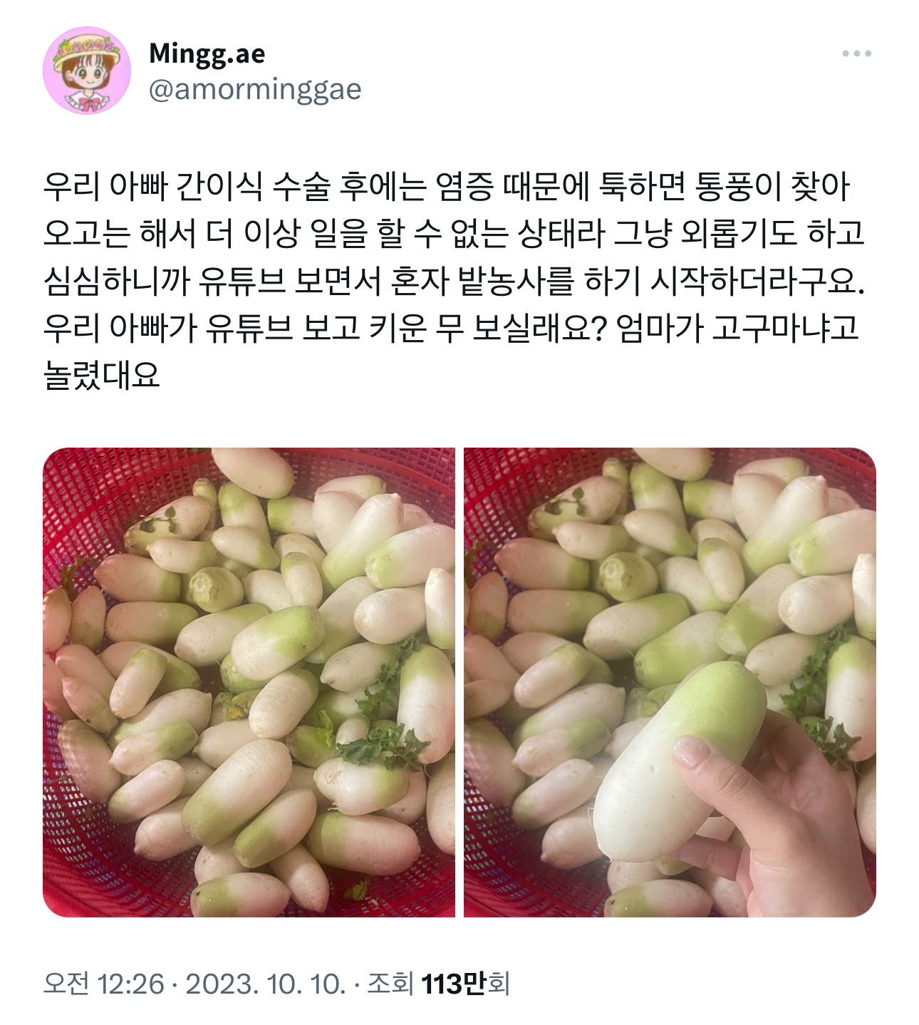 아버지가 키운 고구마같은 무 | 인스티즈