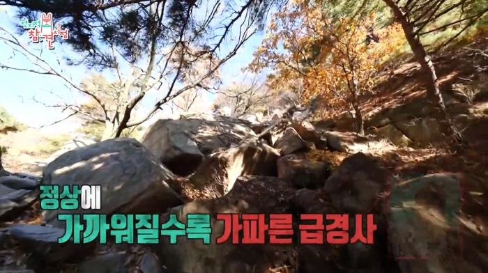 ca830df8a7afb1b3a9b3a799f2169a8fa4041005