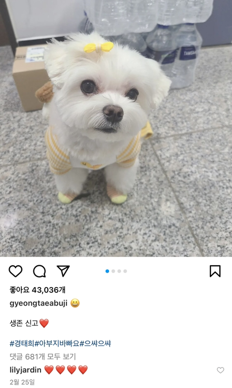 경태희 생사가 궁금한 달글 | 인스티즈