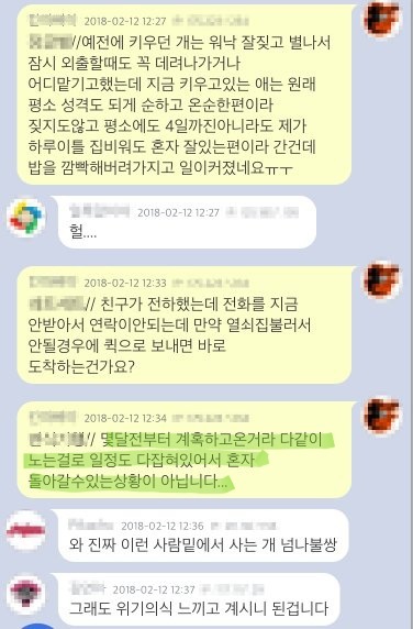 지금 여행왔는데 까먹고 집에 개밥을 안놔두고 왔습니다...ㅠㅜ | 인스티즈
