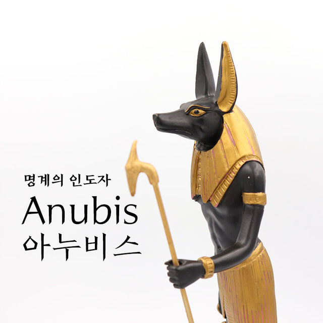 아누비스 닮은 신기한 멕시코 댕댕이 | 인스티즈