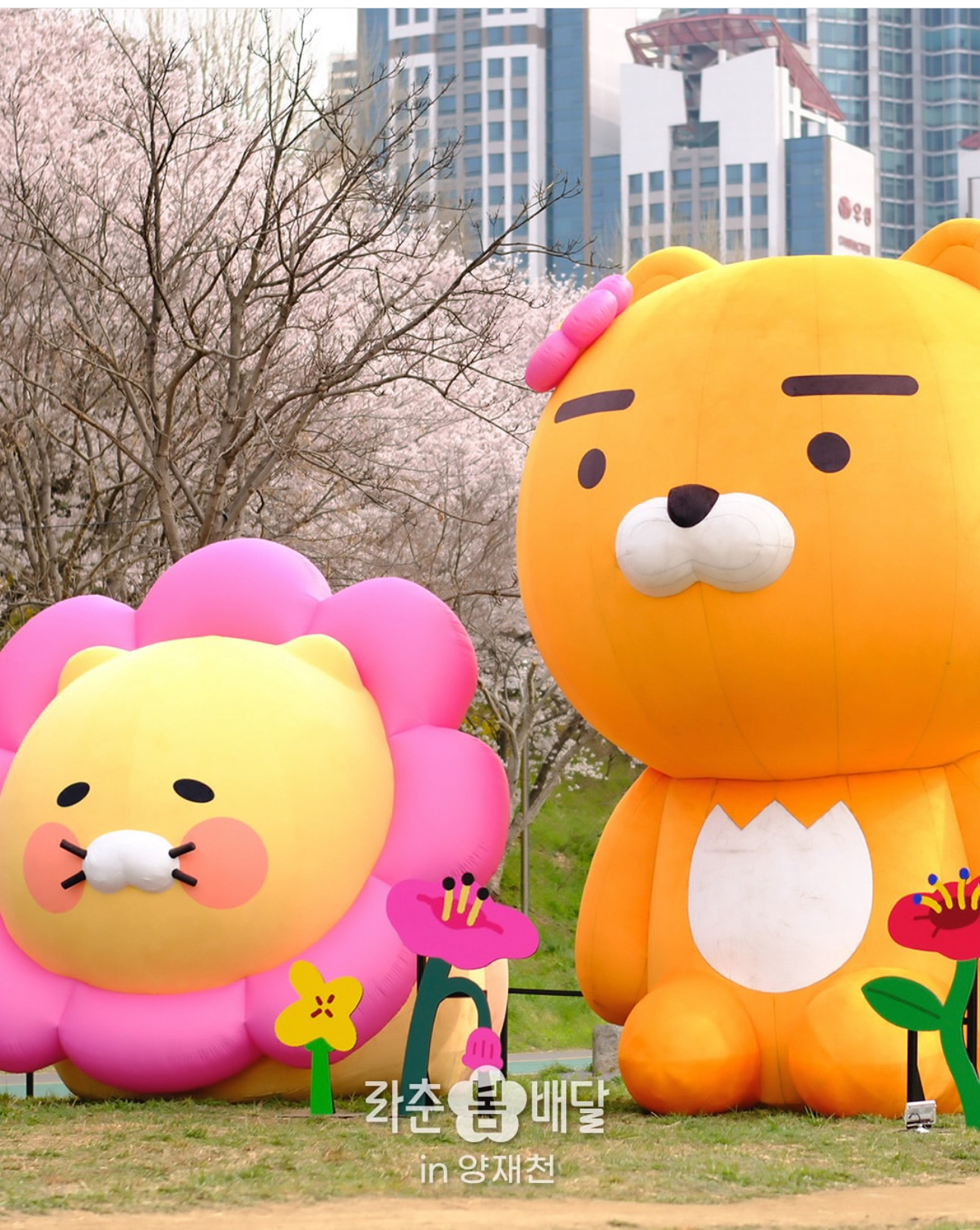 현재 서울 양재천 근황 | 인스티즈