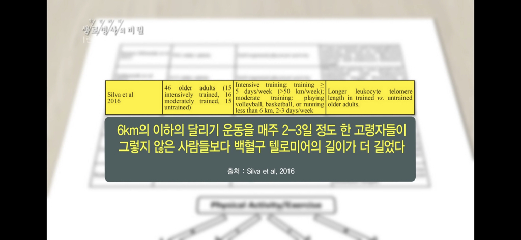 cacf6ea58d98a11c2bbadeec2720c3186477e3ba