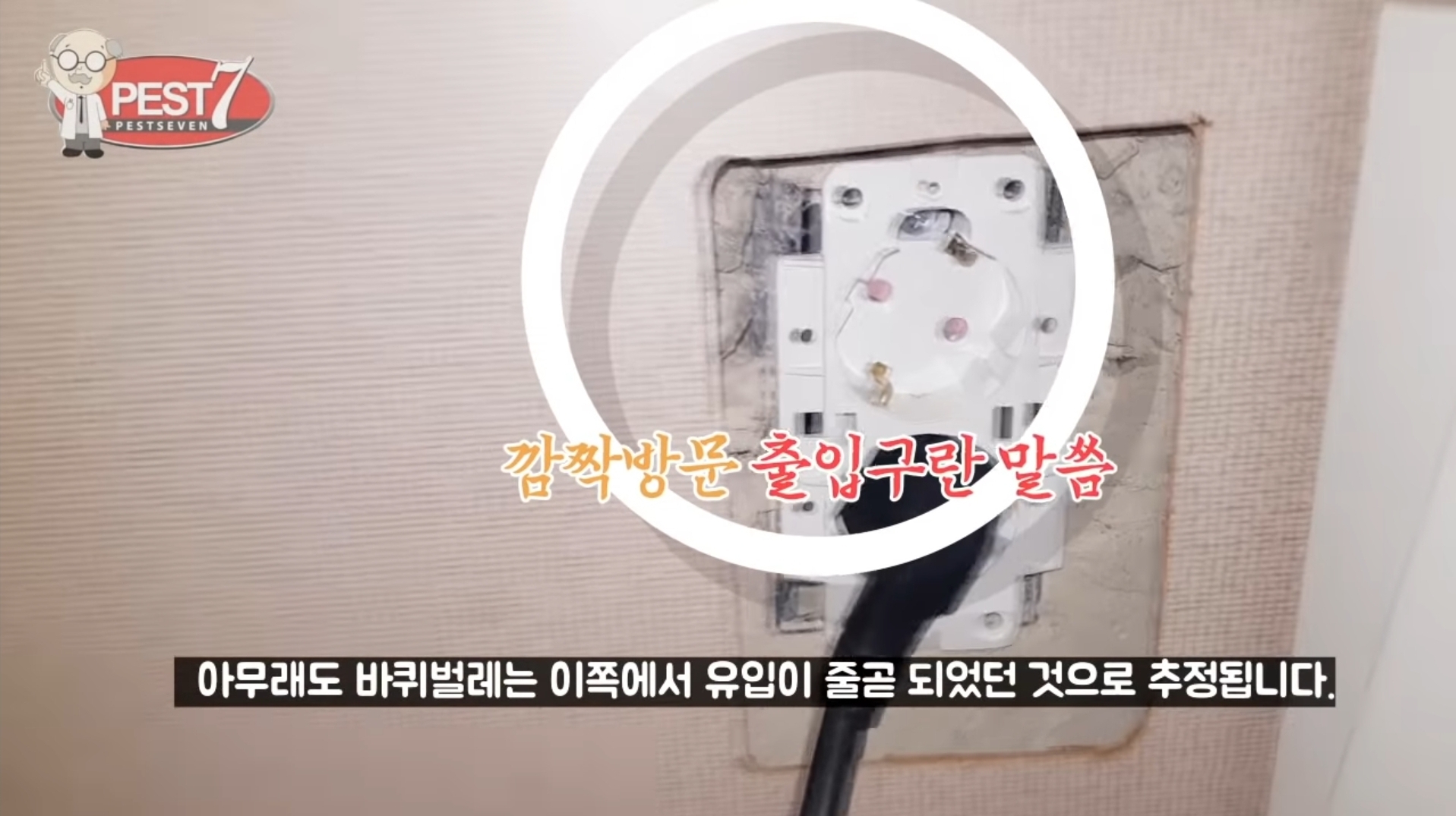 바퀴벌레가 집으로 들어오는..놀라운 경로들.jpg | 인스티즈