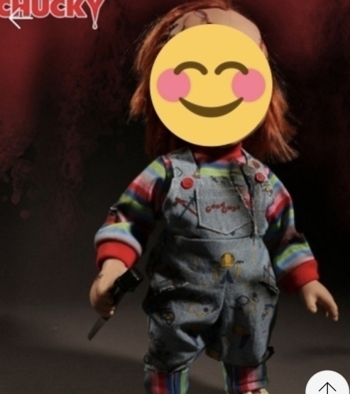 처키 VS 말티 & 푸들 - 누가 이길까? | 인스티즈