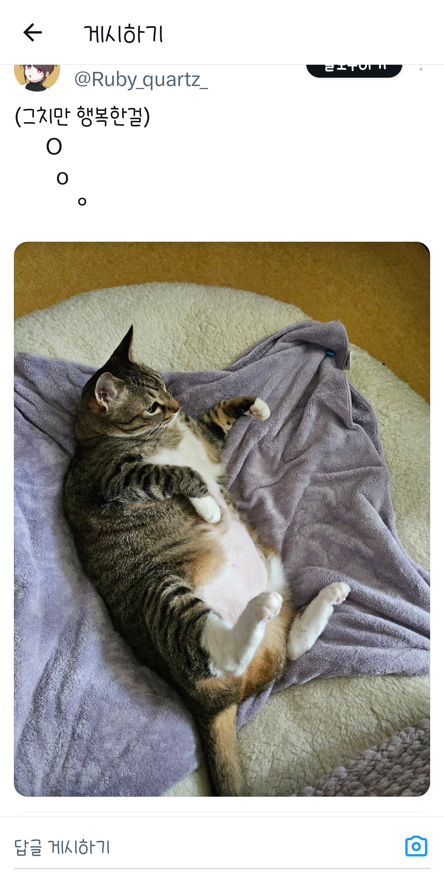 푸돼지 이미지