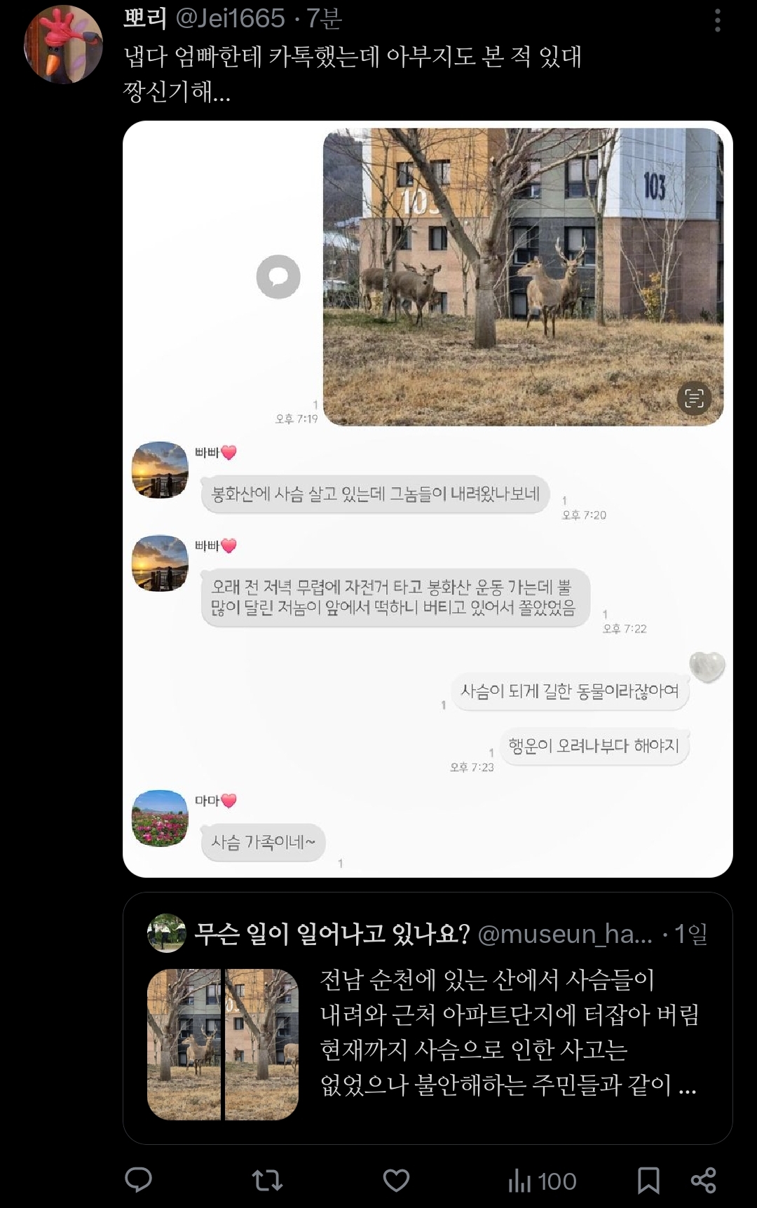 거의 사슴의 지상낙원 됐다는 전남 순천시.jpg | 인스티즈