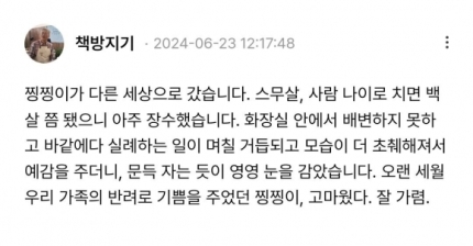 文 "고마웠다. 잘 가렴”…반려묘 '찡찡이' 무지개다리 건너 | 인스티즈